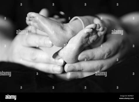 Newborn Babys Hand Black White High Resolution Stock Photography And