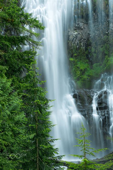 Proxy Falls Oregon Cool Places To Visit Oregon Waterfalls Oregon