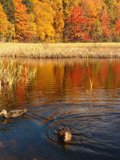 Fall Colours In Newfoundland Canada Wildly Intrepid