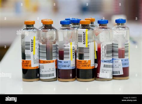 Blood Culture Bottles Bacteriology Laboratory Stock Photo Alamy