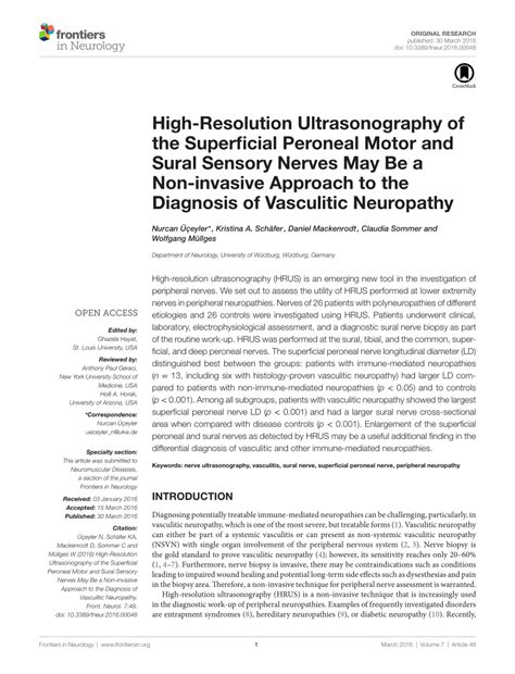 Pdf High Resolution Ultrasonography Of The Superficial Peroneal Motor