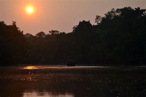 Cristalino River River At The Southern Amazon In Brazil Luísa Mota