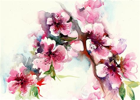 Sakura Cherry Tree Blossom Watercolor Painting By Tiberiu Soos