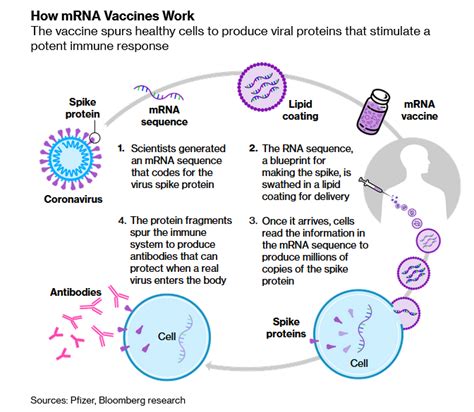 Similarities between the moderna and pfizer vaccines. Here's How The Pfizer And Moderna Vaccines Stack Up - The ...