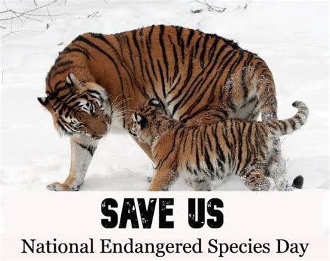 May 21 2021 National Endangered Species Day History Importance