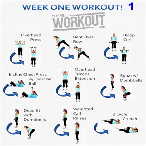 It's 3 total weight training workouts per week (all of which are full body) done in an. Week One Workout Plan 1 - Healthy Fitness Full Body ...