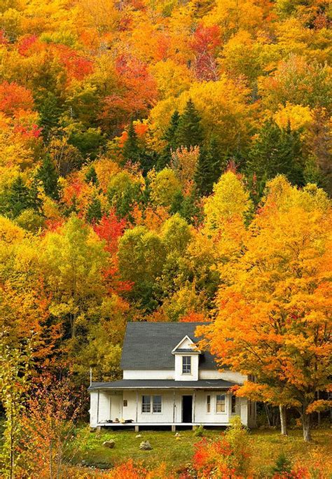 The Amazing Fall Colors Of Cape Breton Island Nova Scotia Nova Scotia
