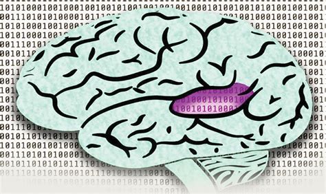 How Do Our Brains Process Speech