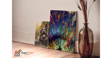 Introducing EverAfter: Celebrating Our Departed Pets in a New