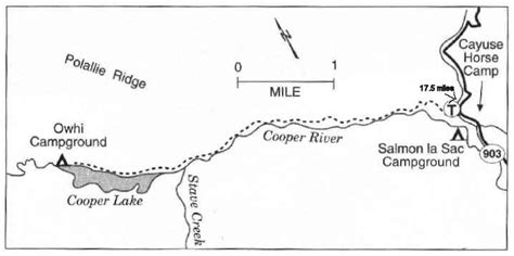 From the salmon la sac trailhead, start hiking along the river as the trail splits off Cooper Lake - Owhi Campground Directions