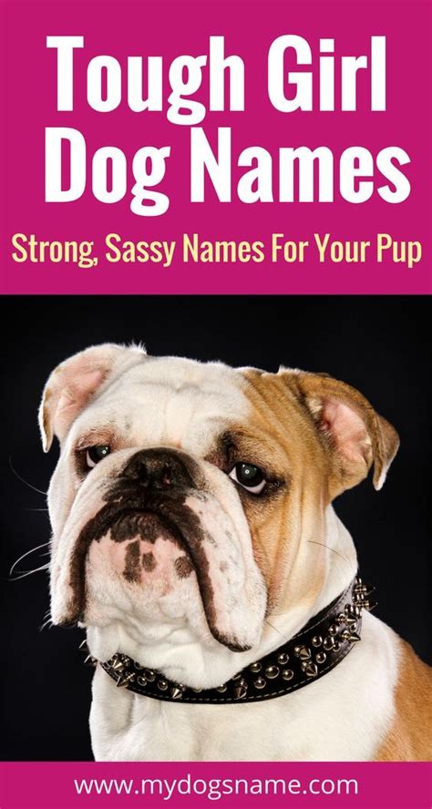 Names My Dogs Name Girl Dog Names Tough Dog Names Dog Names