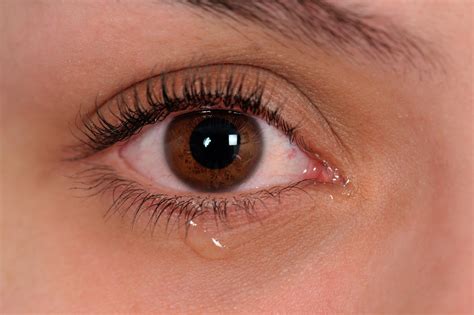 Remedios Caseros Para El Lagrimeo En Los Ojos Ojos Llorosos Salud180