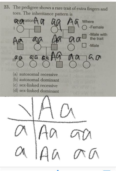 This soapy or pungent aroma is largely attributed to several aldehydes present in. Can A Recessive Trait Be On The Y Chromosome - Inheritance ...
