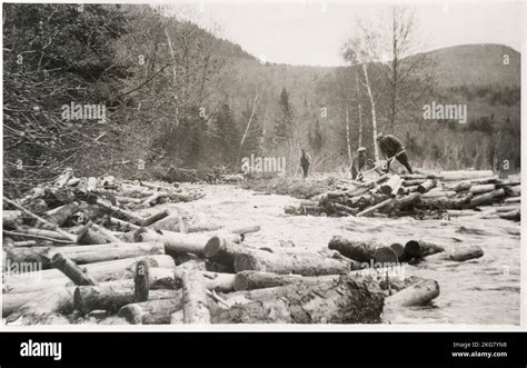 Old Historic Logging History Hi Res Stock Photography And Images Alamy