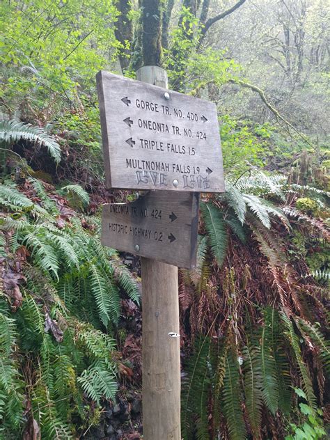 Photos Of Oneonta Gorge Trail Closed Oregon Alltrails