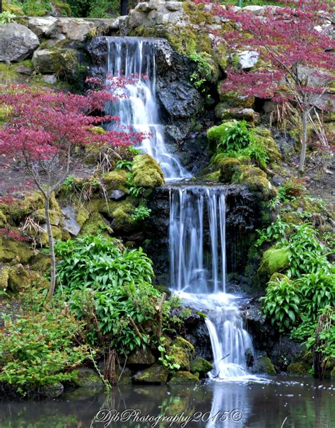 Johnston Gardens Waterfall Garden Waterfall Waterfall Visit Britain