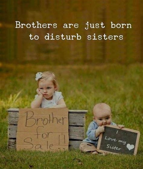 We were a tight family. Best Brother Quotes And Sibling Sayings | Siblings funny ...