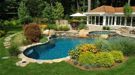 Best Pool Landscaping Plants To Consider Forbes Home
