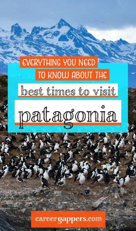 Best Times To Visit Patagonia For Every Activity 2022 Career