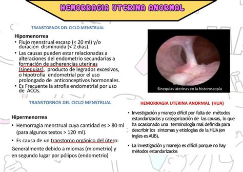 Ginecolog A Y Obstetricia Hemorragia Uterina Anormal The Best Porn