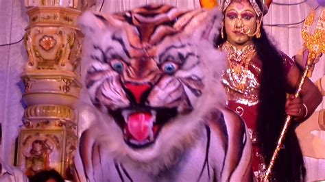 Best Tiger Dance In Kharagpur Youtube