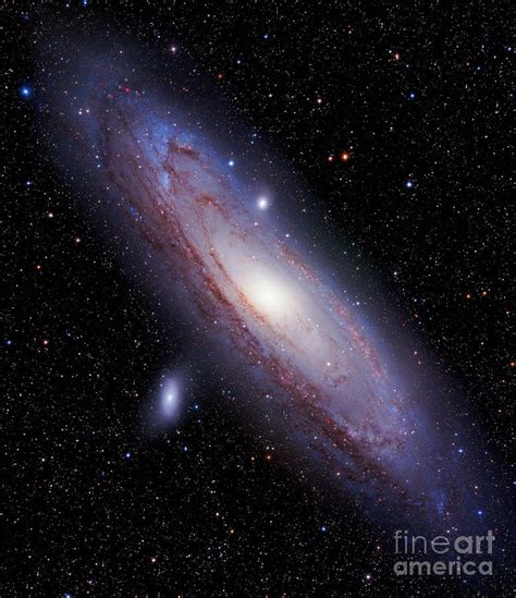 The Andromeda Galaxy Our Galactic Neighbor Photograph By Richard