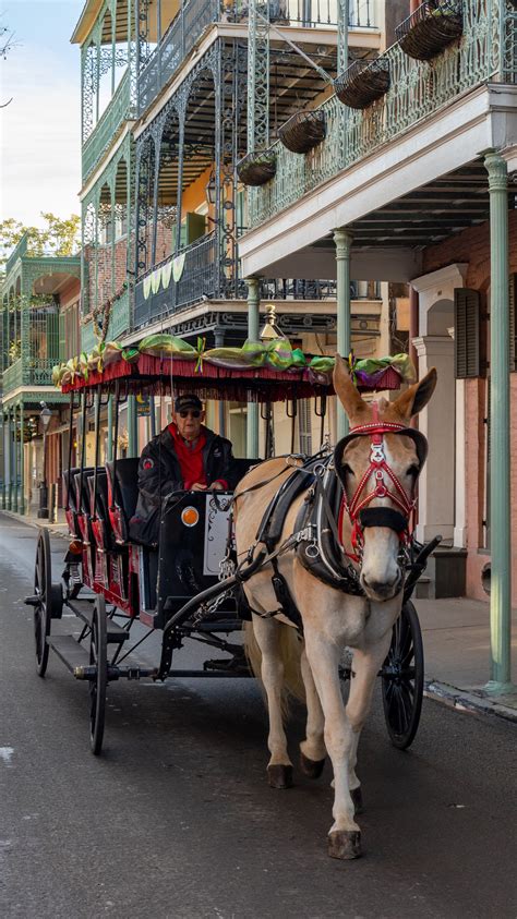 36 Hours In New Orleans Things To Do And See Howgry Universe Of