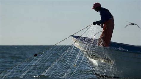 Pesca Una Actividad Comprometida Con La Biodiversidad De México