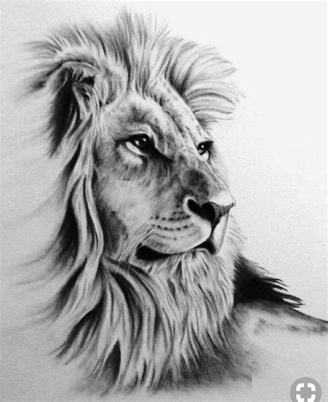 Pin By M Kecskes On Tatoo Lion Head Tattoos Lion Drawing Lion Tattoo