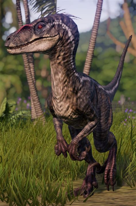 2021 Jurassic World 3 Poster Velociraptor Jurassic World Evolution Wiki Fandom Urutan