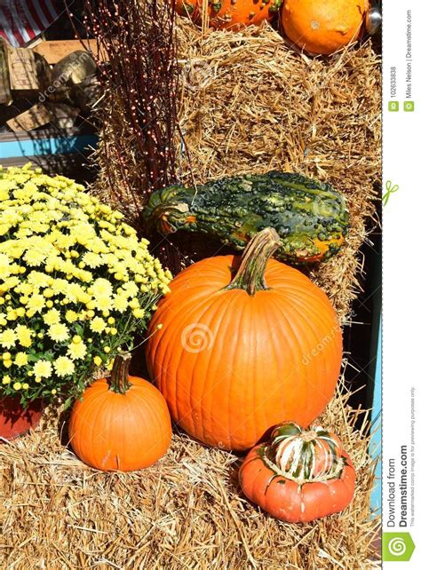 Fall Seasonal Decorations With Pumpkins And Gourds Stock