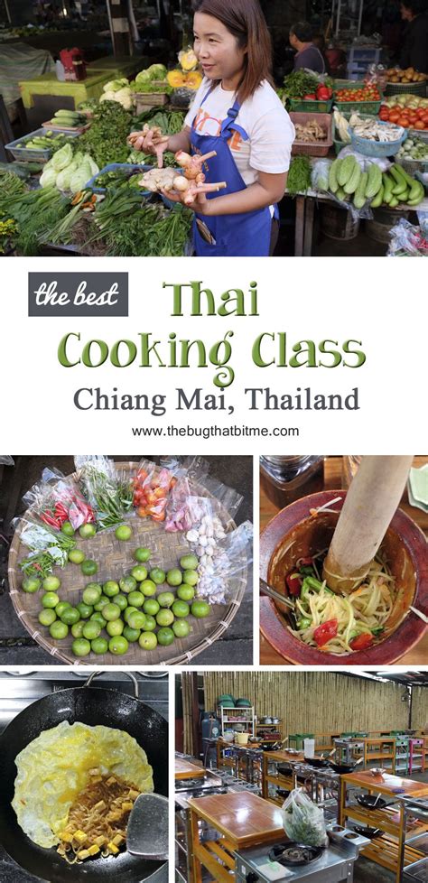 the best thai cooking class in chiang mai thailand the bug that bit me thai cooking class