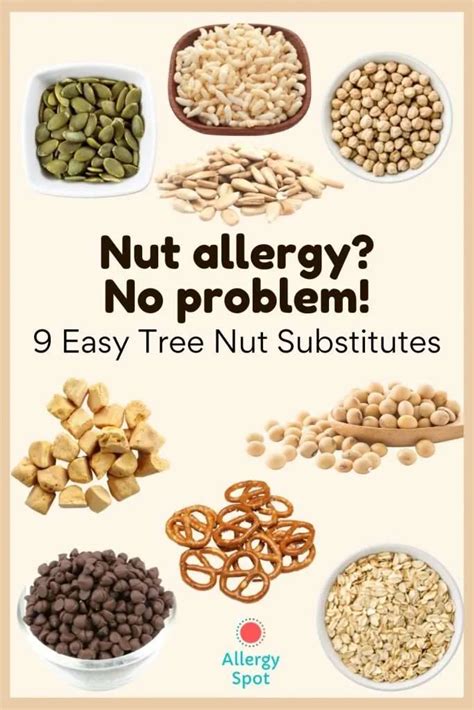 What Are Tree Nuts Allergies Leda Larue