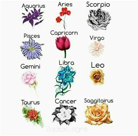 Leo Zodiac Sign Flowers