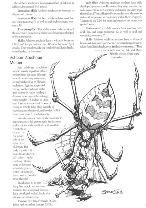 043 Arachnid Anatomy Foxhugh Superpowers List