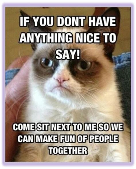 71 Best Grumpy Cat Is Boss Images On Pinterest Funny Things Too