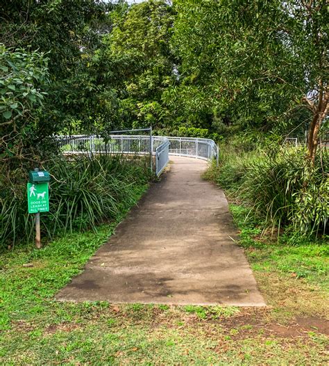 Official instagram account for the sunshine coast division of family practice & covid physician task force, for local updates on the covid19 pandemic. Maleny Boardwalk: Platypus Walk - Adventure Sunshine Coast