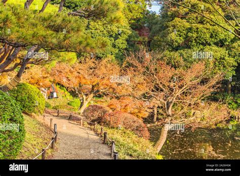 Tokyo Metropolitan Park Kyufurukawas Japanese Gardens Path
