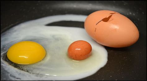 Tiga Fakta Menarik tentang Warna Kuning Telur : Okezone Lifestyle