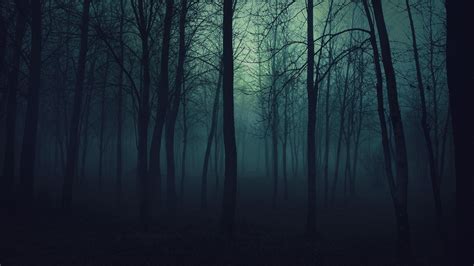 Free Download Nanchy On Beings Forest Background Dark Forest Forest
