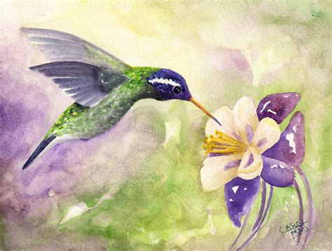 White Eared Hummingbird Painting By Art By Carol May Fine Art America