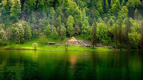 Beautiful Scenery House Green Trees Grass Field Slope Bushes Reflection