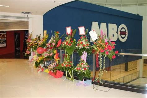 G33 , ground floor ,kawasan perusahaan tandop baru,alor setar mall,05400 alor setar,kedah. MBO Viva Home | News & Features | Cinema Online