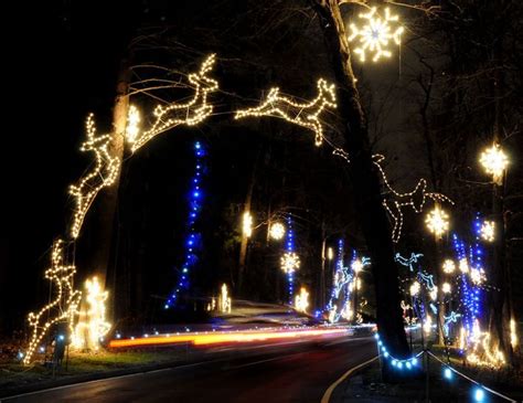 Bright Nights At Forest Park Bright Nights Opens For