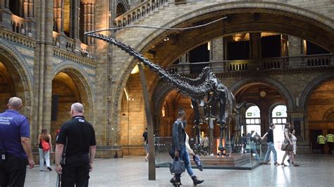 Watch Jurassic Park At The Natural History Museum With Dippy The Diplodocus London Evening
