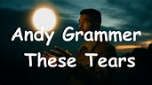 Andy Grammer - These Tears - YouTube