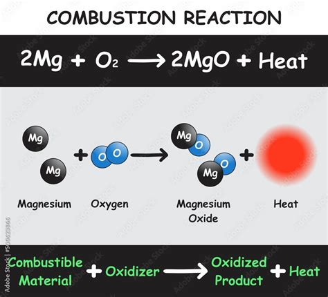 Plakat Combustion Reaction Infographic Diagram With Example Of Magnesium Reacting With Oxygen