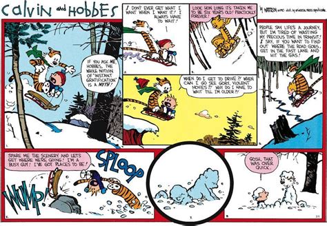 Hobbes And Bacon Calvin And Hobbes Comics Uncle Scrooge Cartoon