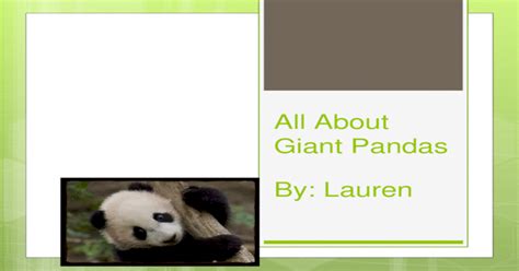 Giant Pandas Pptx Powerpoint