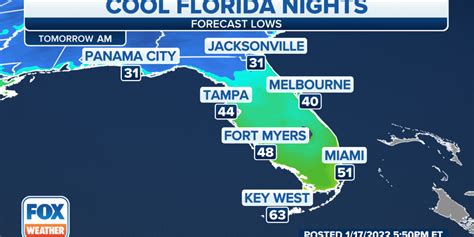 Overnight Temperatures Cold Enough For Falling Iguanas In Florida Fox